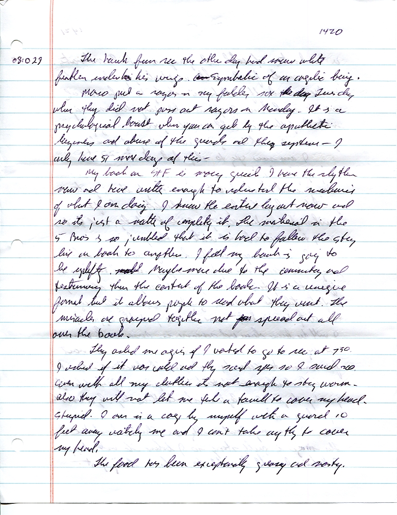 Dr John WorldPeace 2008 Prison Journal